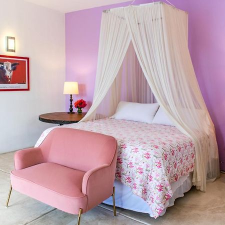 The Hotelito Todos Santos Dış mekan fotoğraf