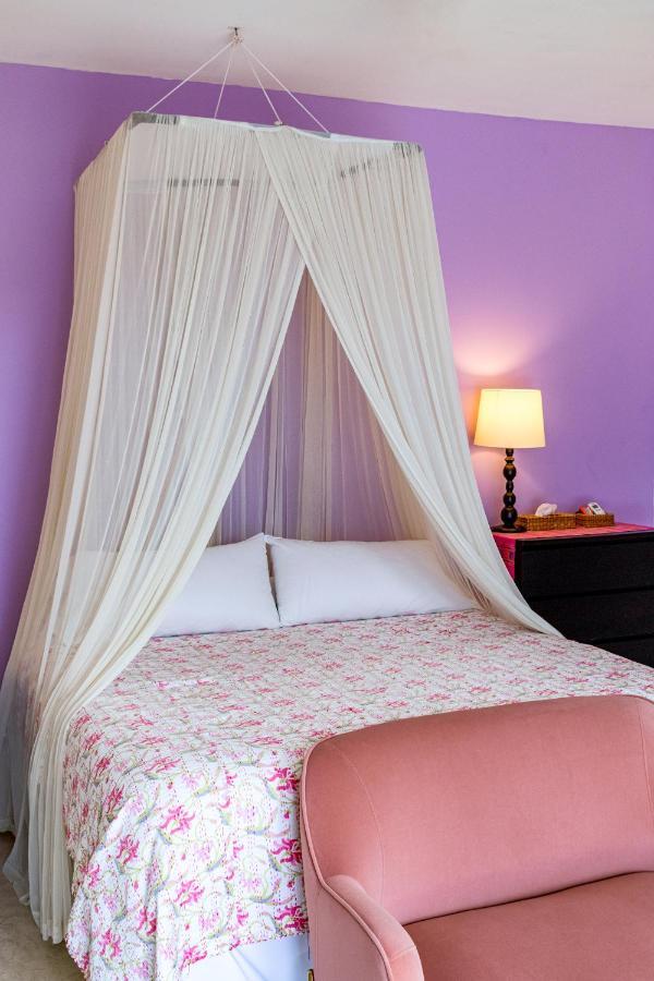 The Hotelito Todos Santos Dış mekan fotoğraf